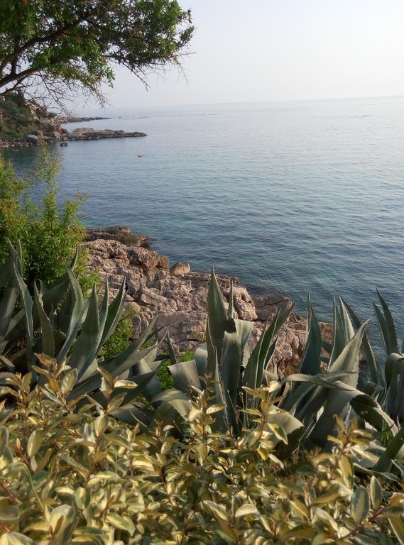 Apartman Marinkovic Dobra Voda Exterior photo